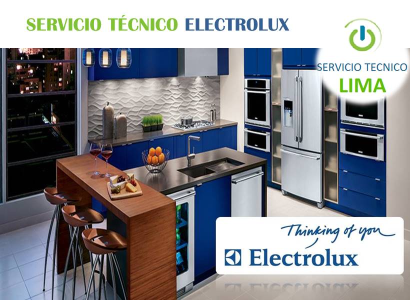 Servicio Técnico Electrolux